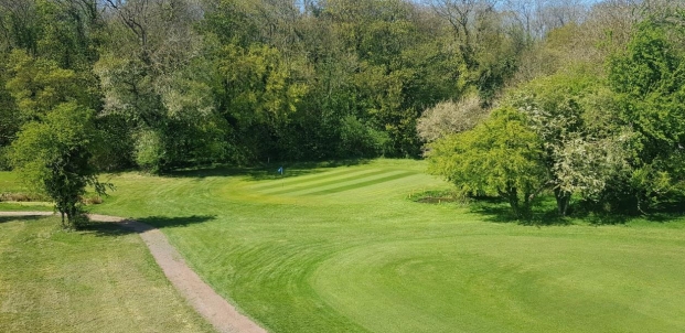 golfing